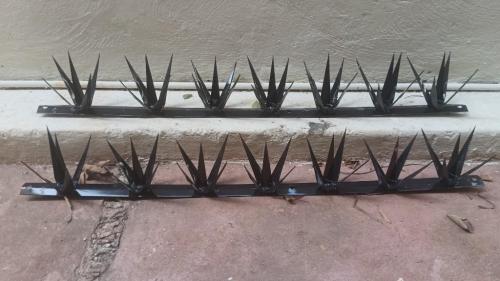 Agave-Type Perimeter Security Spikes.65564458032257122