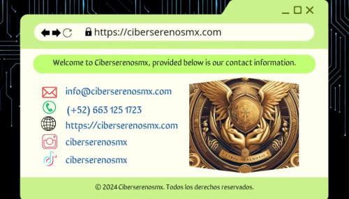 Protect your business with Ciberserenosmx!, Tijuana63837108080515121