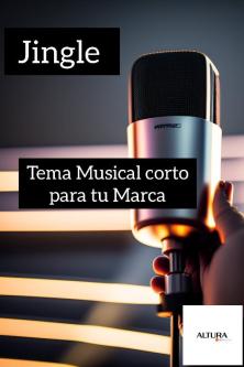 Audio and Video Advertising for Your Business Social Networks, Culiacán63837092127745124