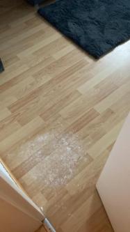 Putzfrau gesucht für meine wohnung in Frauenfeld - Bild 1