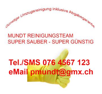 Reinigungsinstitut Mundt Günstig Endreinigung mit Abgabegarantie in Reinach - Bild 1