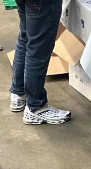Reiter/in Tenny/ Boys gesucht um mich zu kicken in Bern - Bild 5