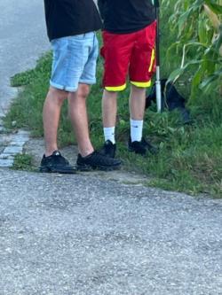 Reiter/in Tenny/ Boys gesucht um mich zu kicken in Bern - Bild 6