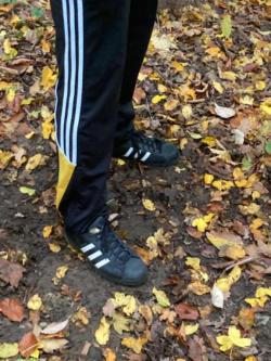 Reiter/in Tenny/ Boys gesucht um mich zu kicken in Bern - Bild 9