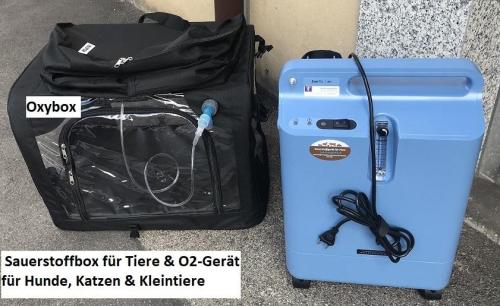 Sauerstoffbox, Grösse XL sehr GROSS von Oxybox, Hunde, Katzen .. in Locarno - Bild 4
