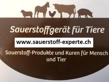Sauerstoffbox Hund Katze mieten / kaufen Schweiz Tessin in Locarno - Bild 2