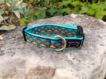 Schönes Hundehalsband 2.5cm Medow blue handgemacht in Grenchen - Bild 1