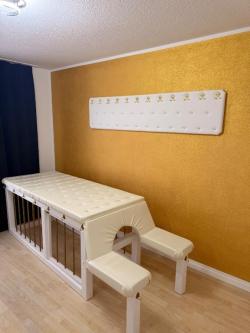 Selbst designte SM Möbel zu verkaufen in Wangen - Bild 9