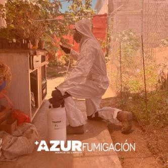 Pest Control and Fumigation Services in Ensenada, B.C.63835311382019120