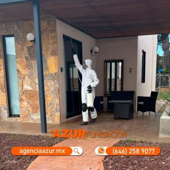 Pest Control and Fumigation Services in Ensenada, B.C.63835311382019121