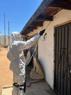 Pest Control and Fumigation Services in Ensenada, B.C.63835311382019122