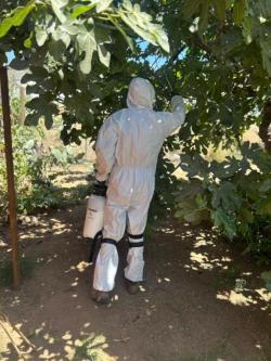 Pest Control and Fumigation Services in Ensenada, B.C.63835311382019123