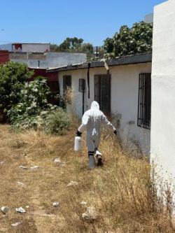 Pest Control and Fumigation Services in Ensenada, B.C.63835311382019124