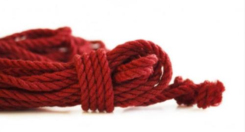 Shibari Fesselkunst Tantra -Massage ,Proffesionell in Luzern - Bild 9