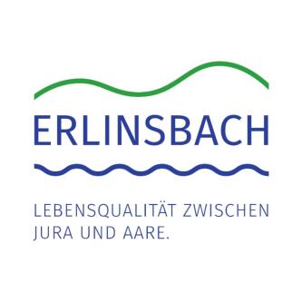 Stellvertretung Leitung Steuern in Aarau - Bild 1