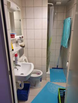 Studio im Zentrum von Steckborn ab sofort zu vermieten in Frauenfeld - Bild 6
