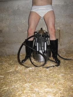 Suche Dominante Person für strenge BDSM Haltung in Bern - Bild 2