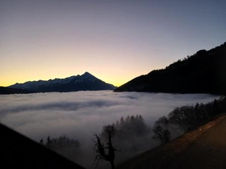 Suche Frau die mich massieren würde in Spiez - Bild 1