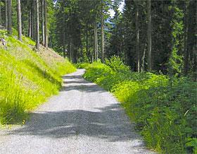 Suche Frau die mir beim Selbermachen zuschaut & Spass dran hat in Luzern - Bild 2