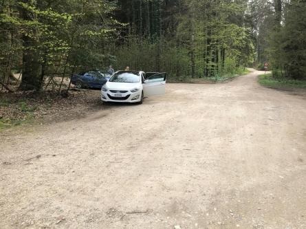Suche Männer wo im Wald Sutz grosses Feuer machen für mich in Biel - Bild 1