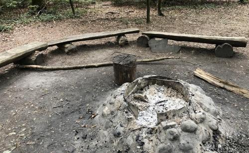 Suche Männer wo im Wald Sutz grosses Feuer machen für mich in Biel - Bild 2