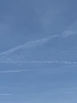 Suche Mann für meine gelangweilte Ehefrau in Zug - Bild 1