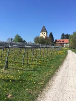 Suche Therapeutin in Kreuzlingen - Bild 1
