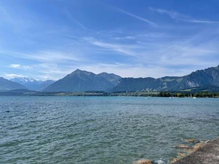 Suche Twink (ab 18) für schöne Stunden in Thun - Bild 1