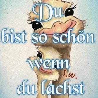 Suche frau für schöne stunde in St. Gallen - Bild 1