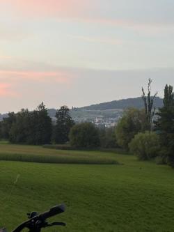 Suche geilen daddy der mich verwöhnt in Reinach - Bild 1