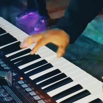 KEYBOARD PLAYER FOR PARTIES AND EVENTS IN VERACRUZ, Veracruz63837099500163121