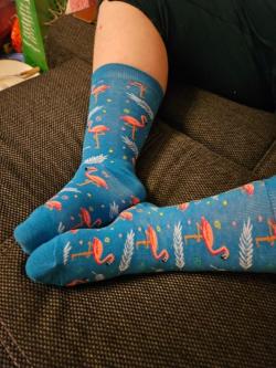 Tangas/Socken getragen in Bern - Bild 6