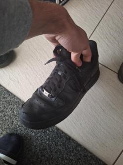 Trampling von einem Jungen Dom 19 in Bern - Bild 1
