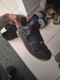 Trampling von einem Jungen Dom 19 in Bern - Bild 2