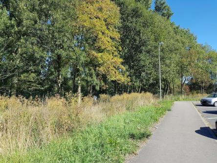 Typ für Outdoorfun gesucht in Bern - Bild 2