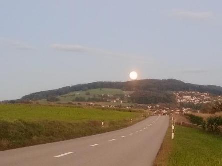 Übernachtungsmöglichkeit gesucht in St. Gallen - Bild 1