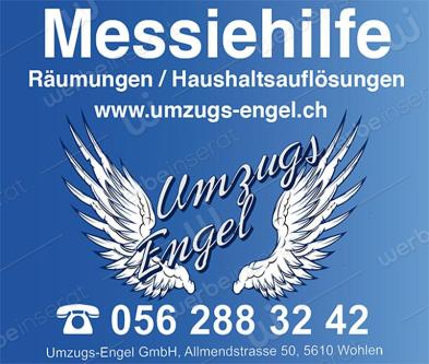 Umzüge und Räumungem kein Problem wir sind für sie da in Wohlen - Bild 1