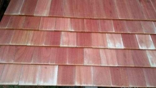 Shake Sales in Temuco, Araucanía Region64206479142401122