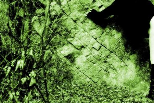 Vergnügen draussen in der freien Natur in Solothurn - Bild 1