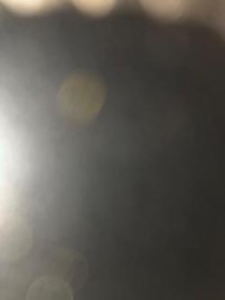 Vollidiot abzugeben in Lenzburg - Bild 1