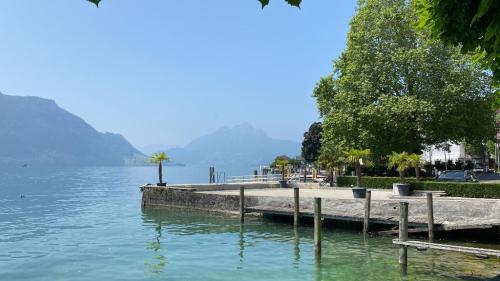 Wandet reife und gepflegte Frau ab 60… in Luzern - Bild 1