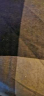 Welche Frau würde mich Keusch halten und regelmässig abmelken. in Urdorf - Bild 1
