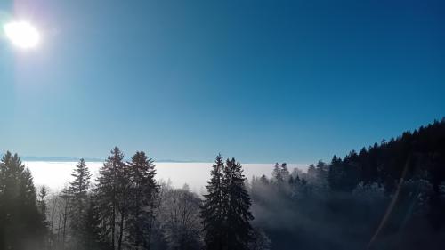 Wünsch Allen Frauen ein Gutes Schönes 2026 in Solothurn - Bild 1