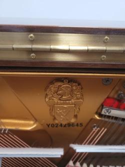 YO2429645 SCHAFER & SONS Studio, Guaranteed.63835216249987122