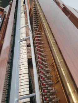 YO2429645 SCHAFER & SONS Studio, Guaranteed.63835216249987121