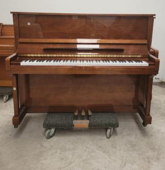 YO2429645 SCHAFER & SONS Studio, Guaranteed.63835216249987120