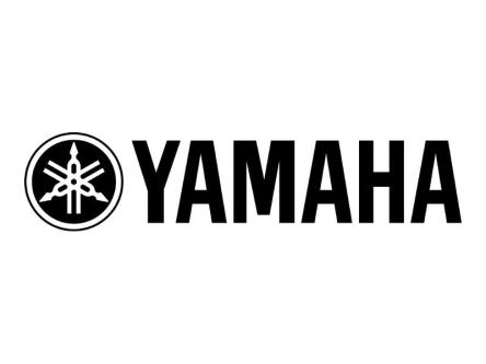 Yamaha Modell RX-385RDS black Alu inkl. Fernbedienung in Dübendorf - Bild 3