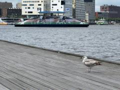Account-Einstellungen