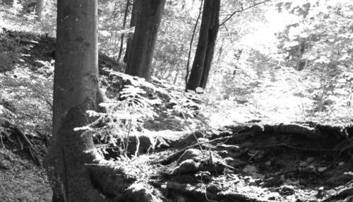 das ganze Jahr über gemeinsam outdoor Spass in Grenchen - Bild 1