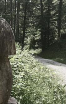 könnten uns gegenseitig wirklich prächtig ergänzen in Biel - Bild 1